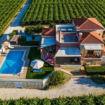Cretan Vineyard Hill Villa Kato Kalesia Luaran gambar