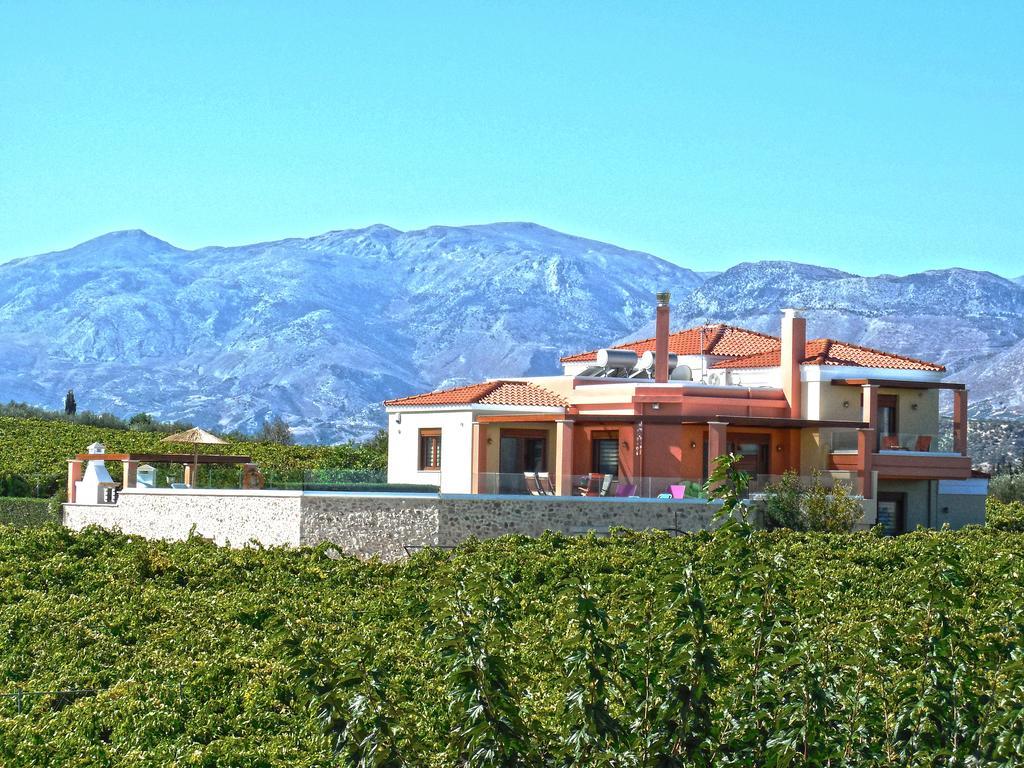 Cretan Vineyard Hill Villa Kato Kalesia Luaran gambar
