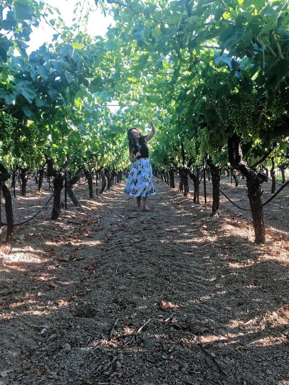 Cretan Vineyard Hill Villa Kato Kalesia Luaran gambar