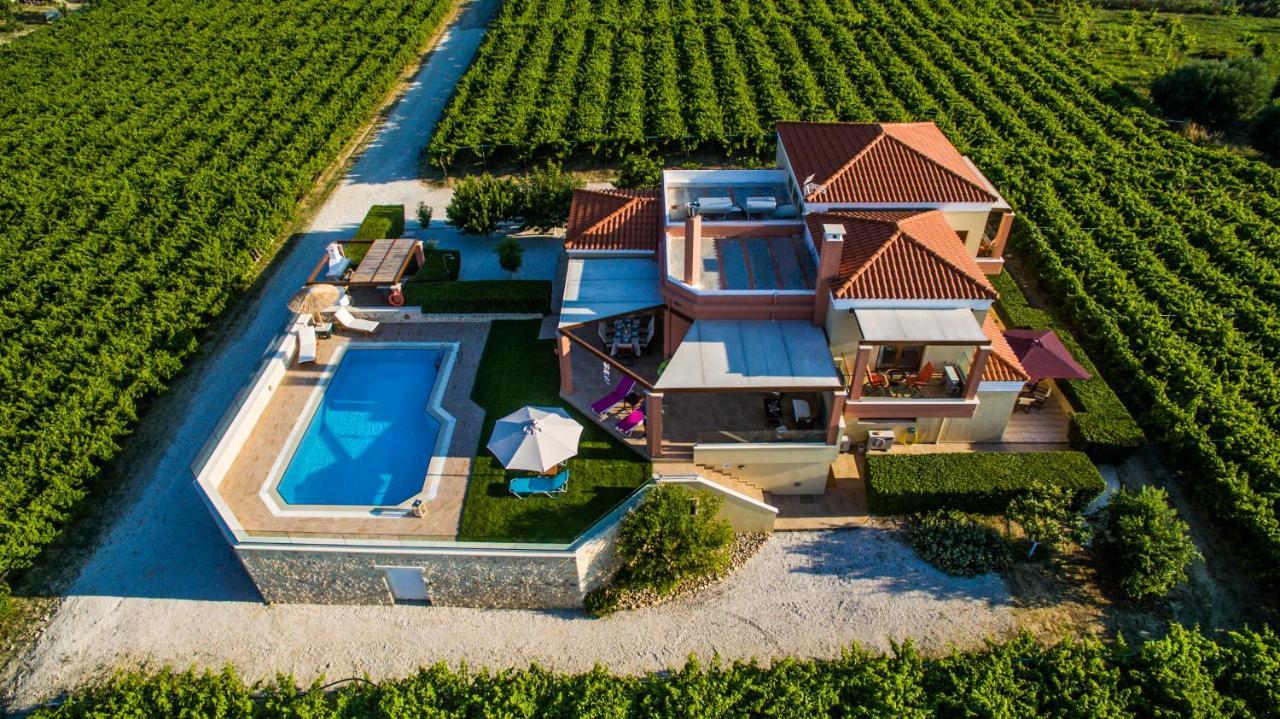 Cretan Vineyard Hill Villa Kato Kalesia Luaran gambar